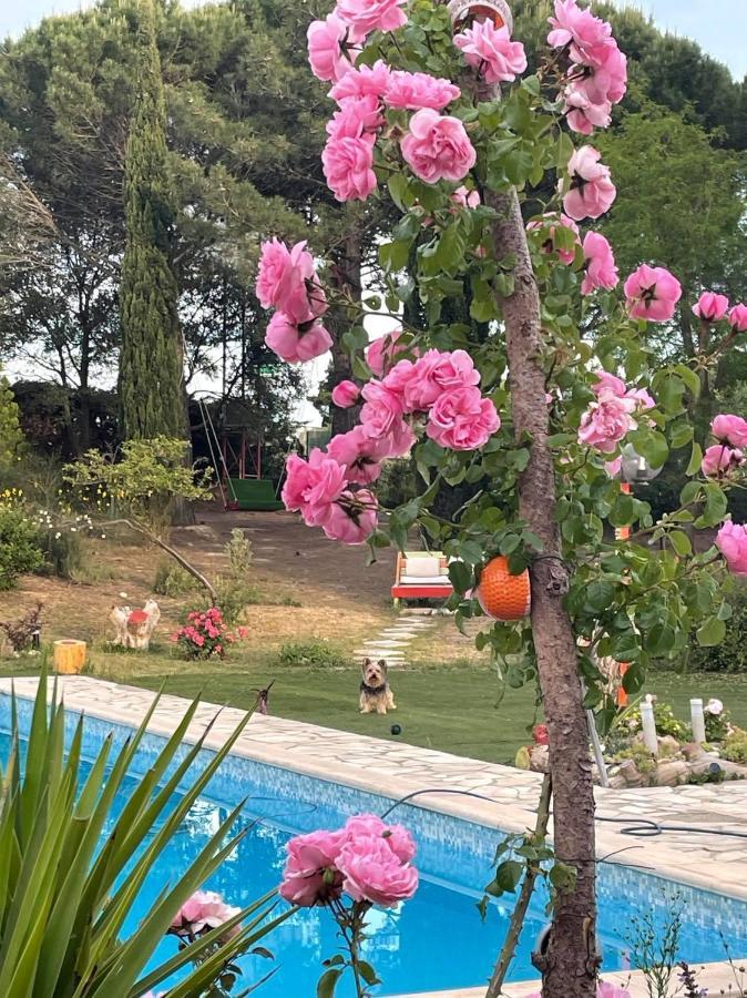 Bel Hotel Restaurant La Gentilhommiere Trèbes Εξωτερικό φωτογραφία