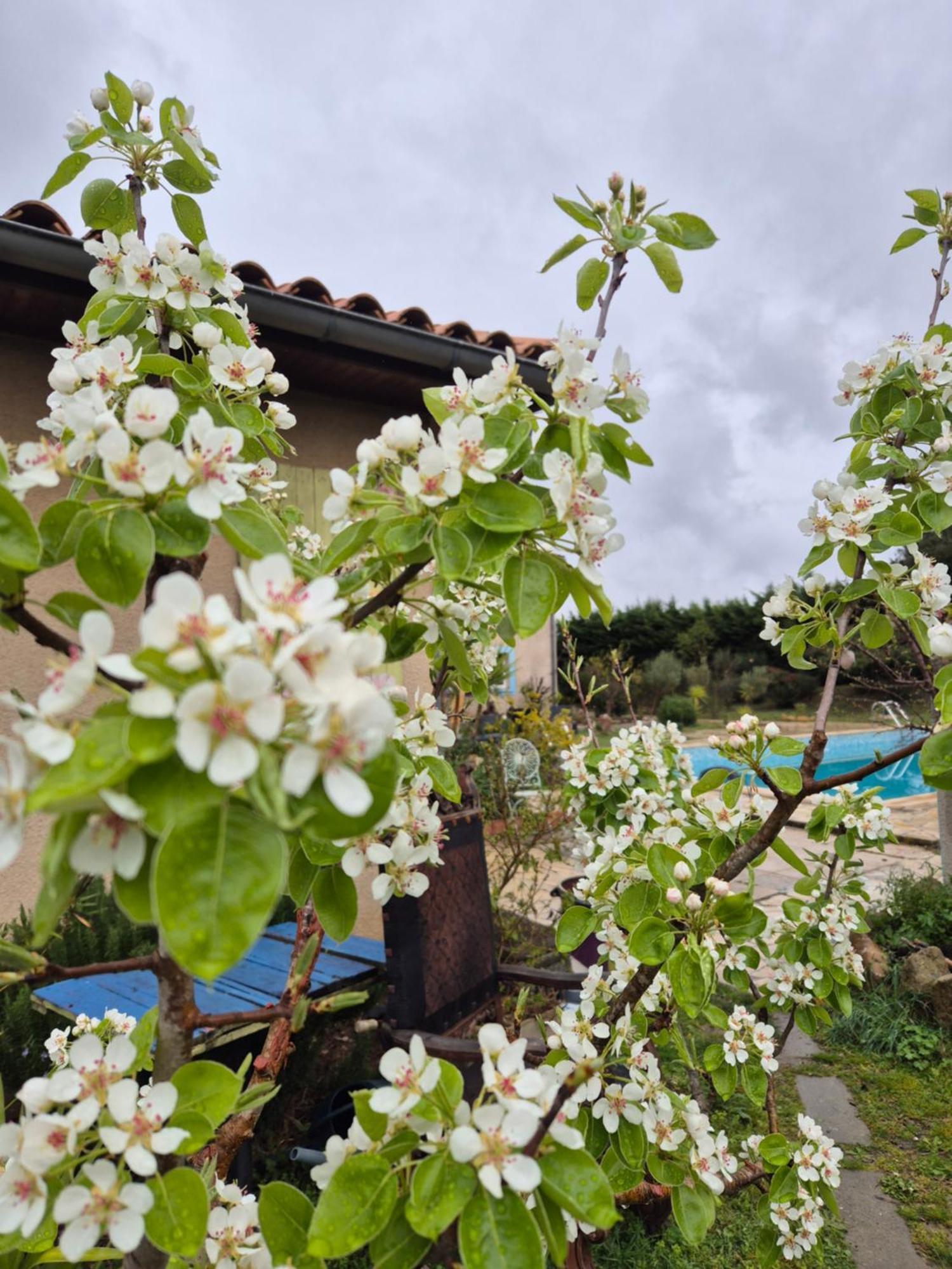 Bel Hotel Restaurant La Gentilhommiere Trèbes Εξωτερικό φωτογραφία